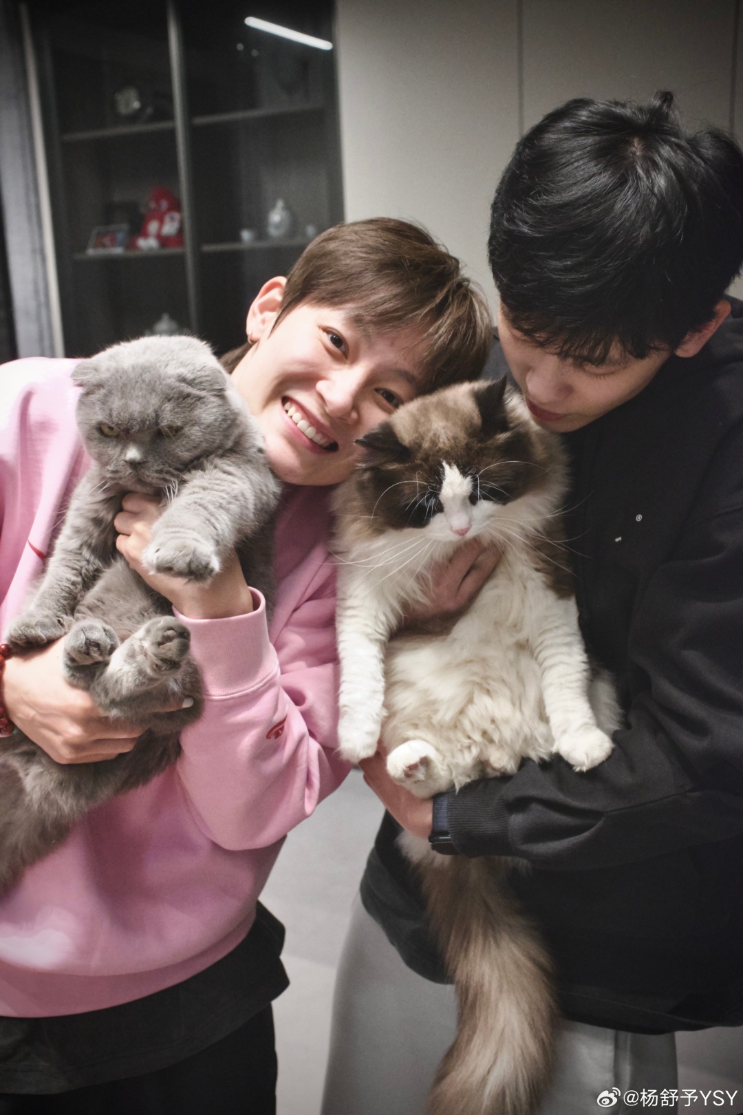 实后盾, 广东女篮回, 据悉 实后盾, 广东女篮回, 据悉